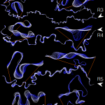 photo of water paths