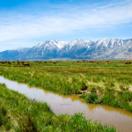 photo of agriculture and snowy mountain