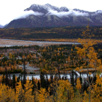 photo of snowy mountains and woods