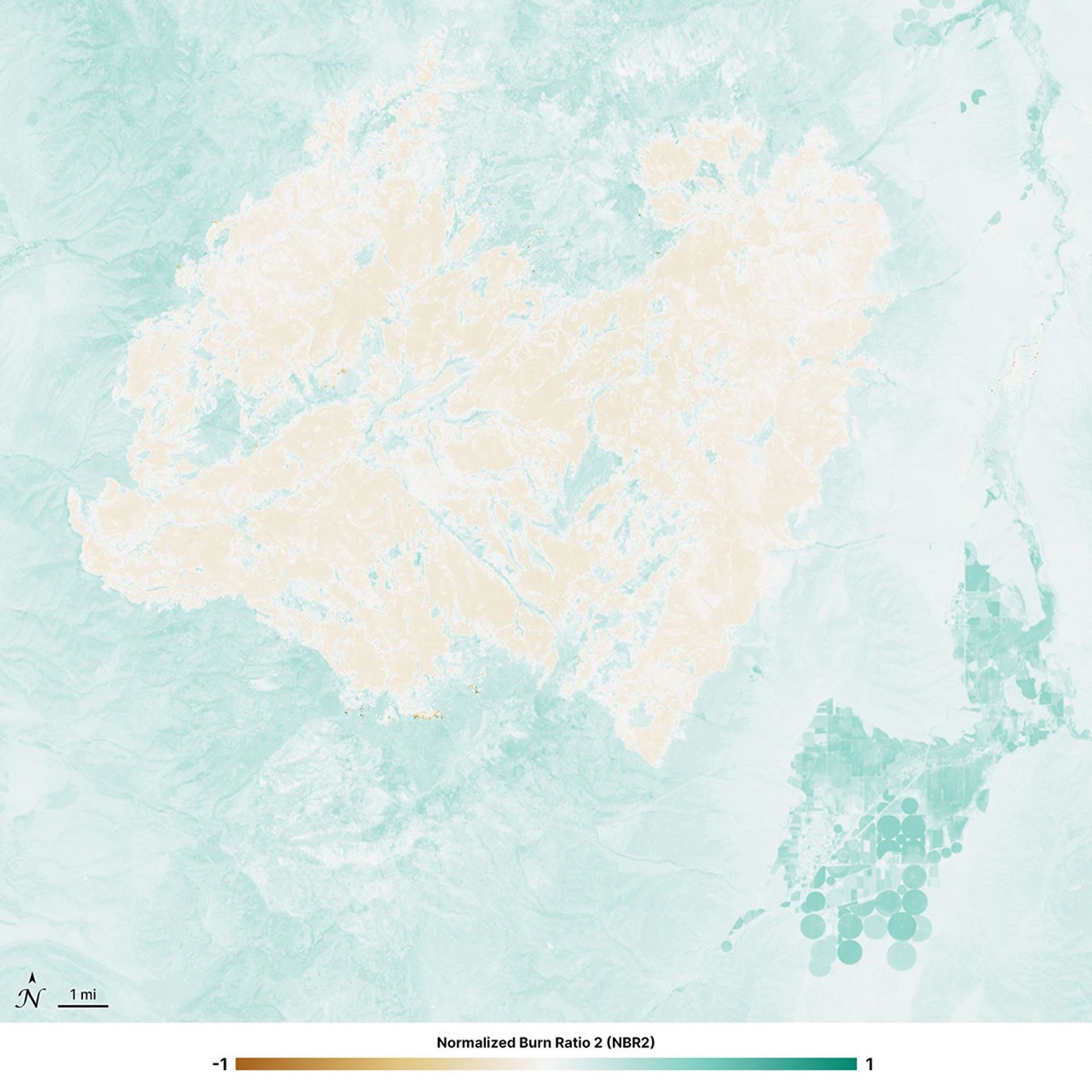 Normalized Burn Ratio 2 (NBR2) image of the Cottonwood Fire area in Utah, acquired after the fire by Landsat 8 on June 29, 2026. Healthy vegetation appears in shades of teal, while burn scars appear brown and orange.