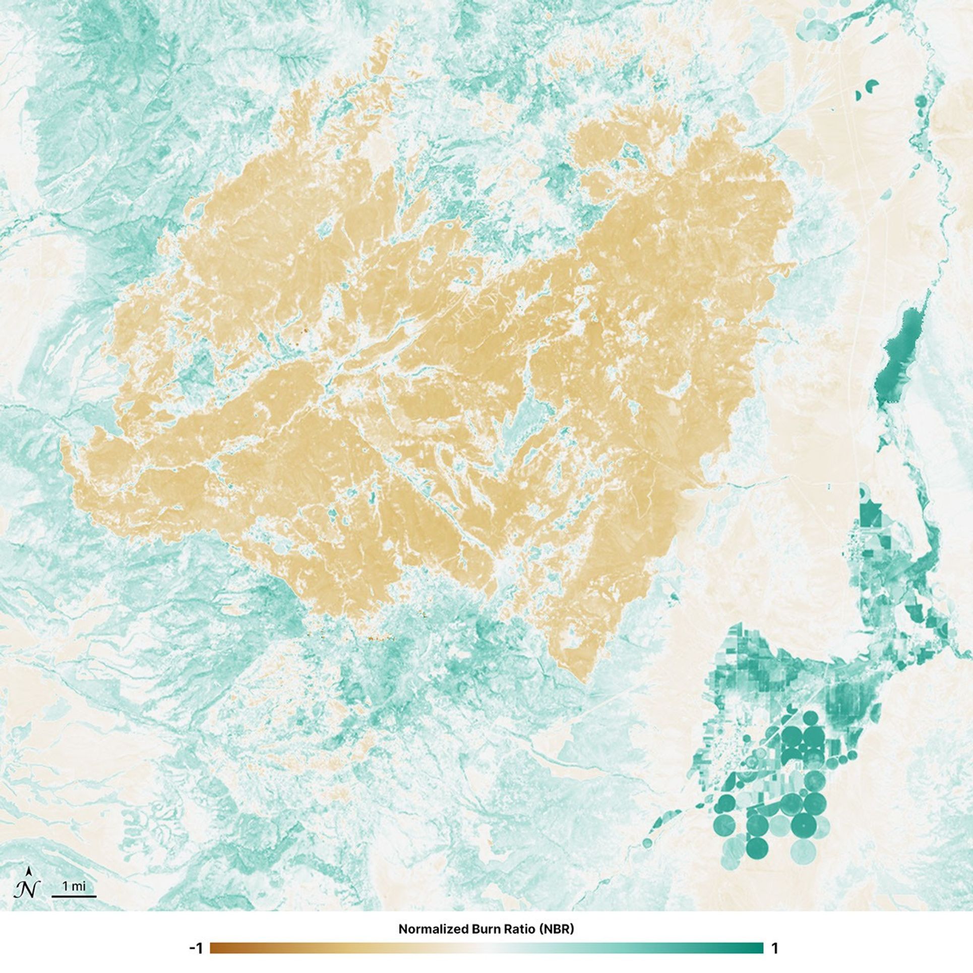 Normalized Burn Ratio (NBR) image of the Cottonwood Fire area in Utah, acquired after the fire by Landsat 8 on June 29, 2026. Healthy vegetation appears in shades of teal, while burn scars appear brown and orange.