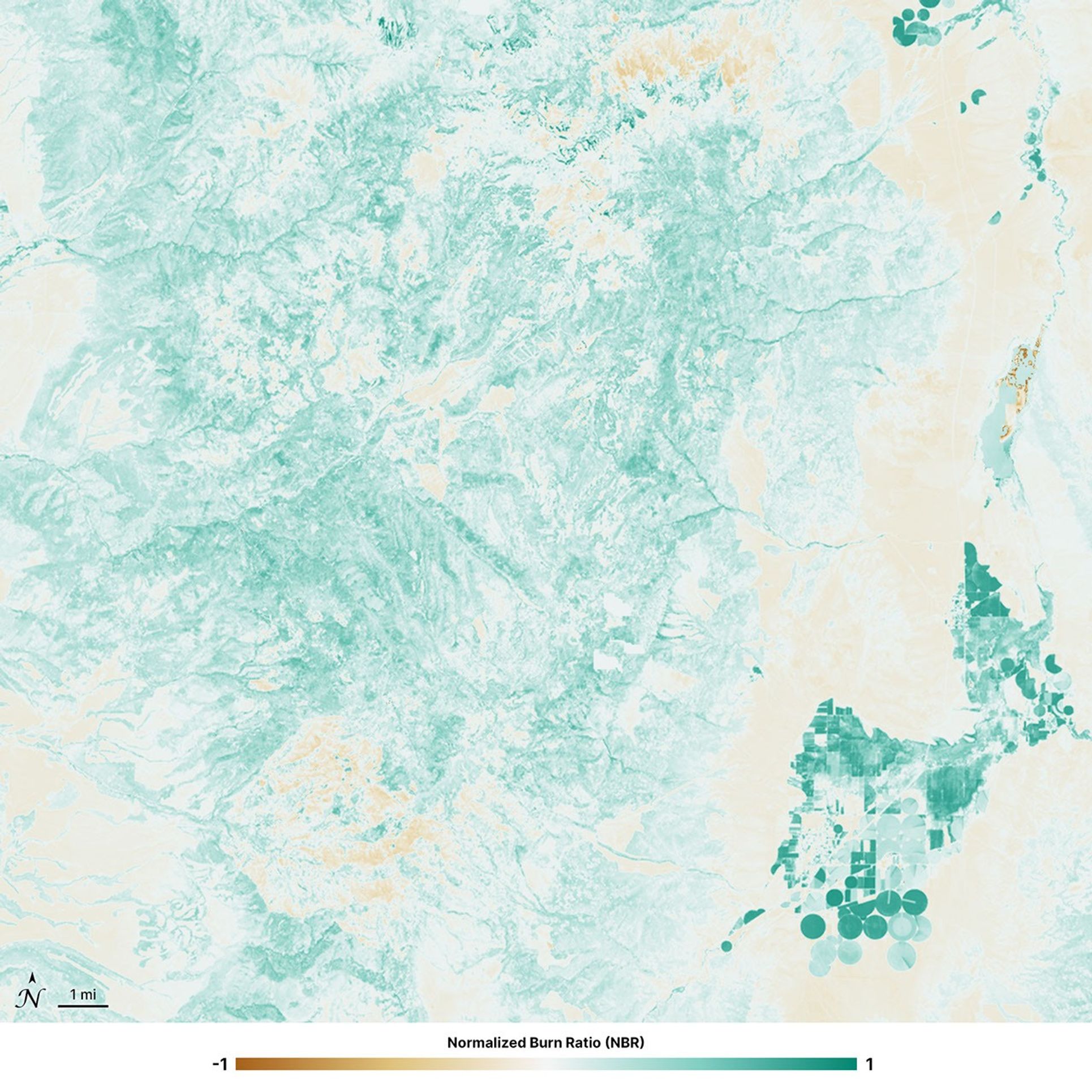Normalized Burn Ratio (NBR) image of the Cottonwood Fire area in Utah, acquired before the fire by Landsat 9 on June 5, 2026. Healthy vegetation appears in shades of teal, while burn scars appear brown and orange.