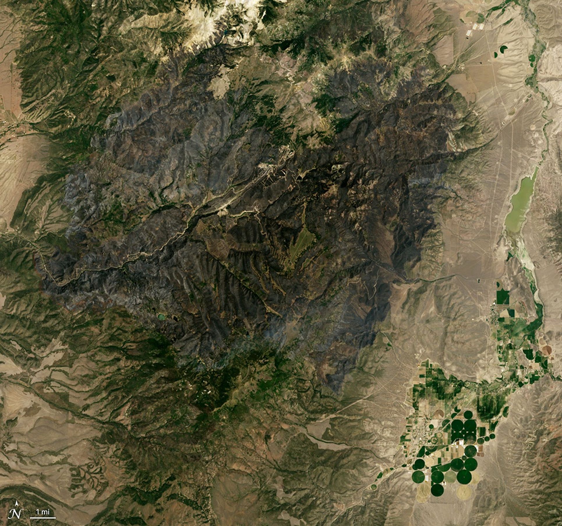 Natural color image of the Cottonwood Fire burn scar in Utah, acquired by Landsat on June 29, 2026.