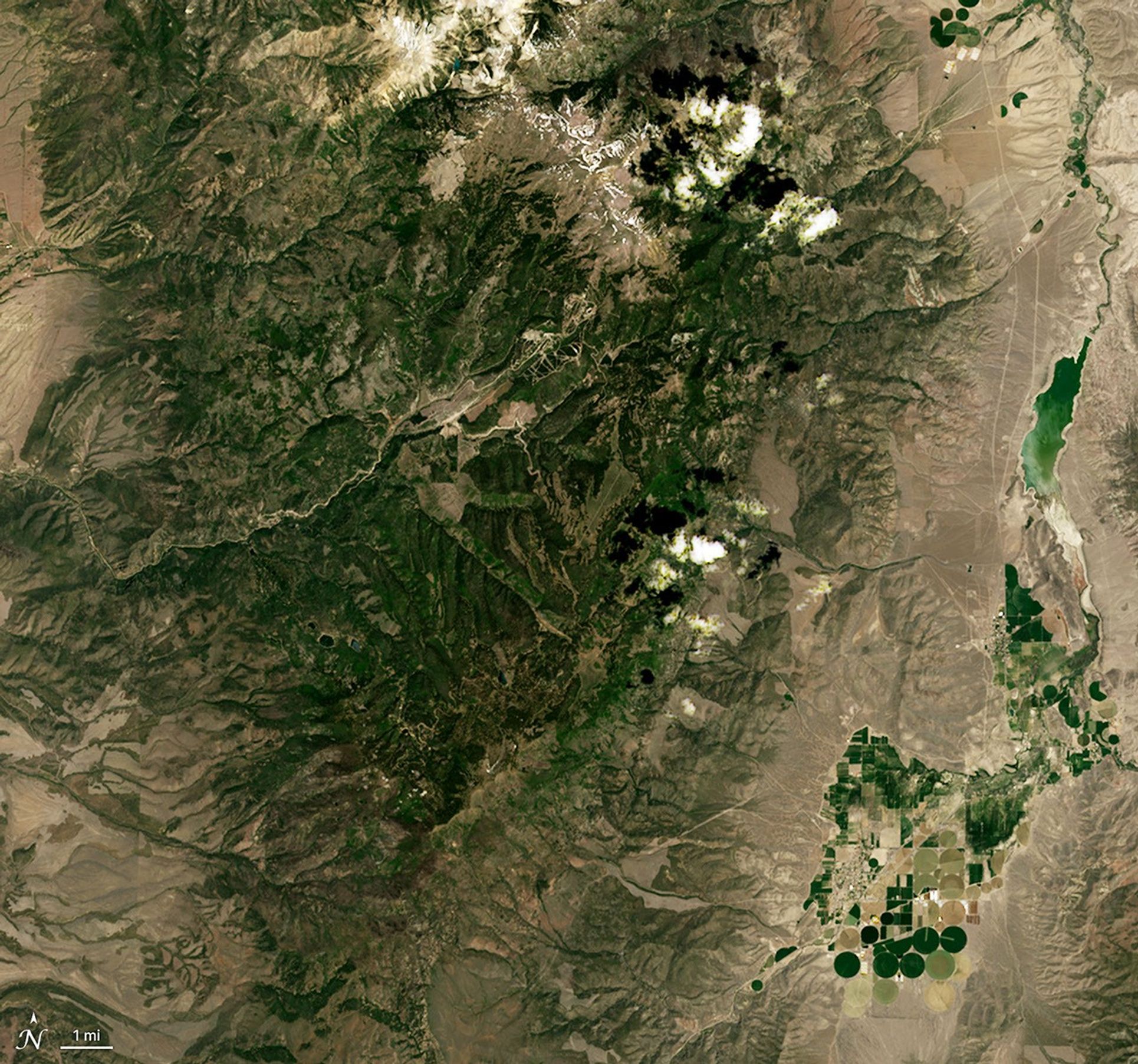 Natural color image of the Cottonwood Fire burn scar in Utah, acquired by Landsat on June 5, 2026.