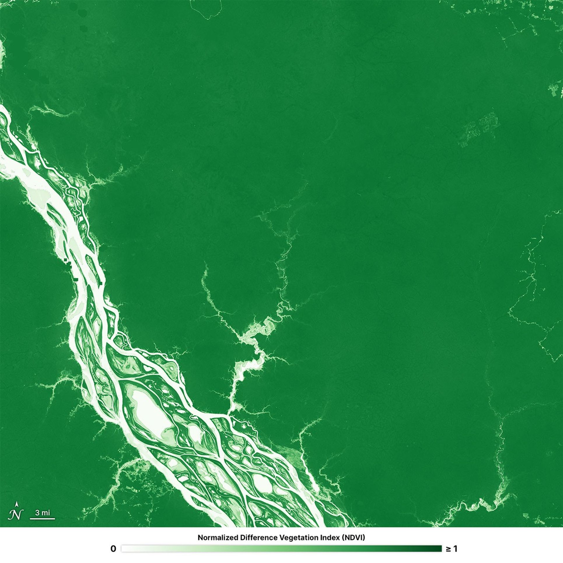 This HLS L30 image from October 29, 2024, showcases the Brazilian Amazon rainforest using the NDVI index, spanning from a value of 0 to 1. The forest is dark green, while the river is white and light green.