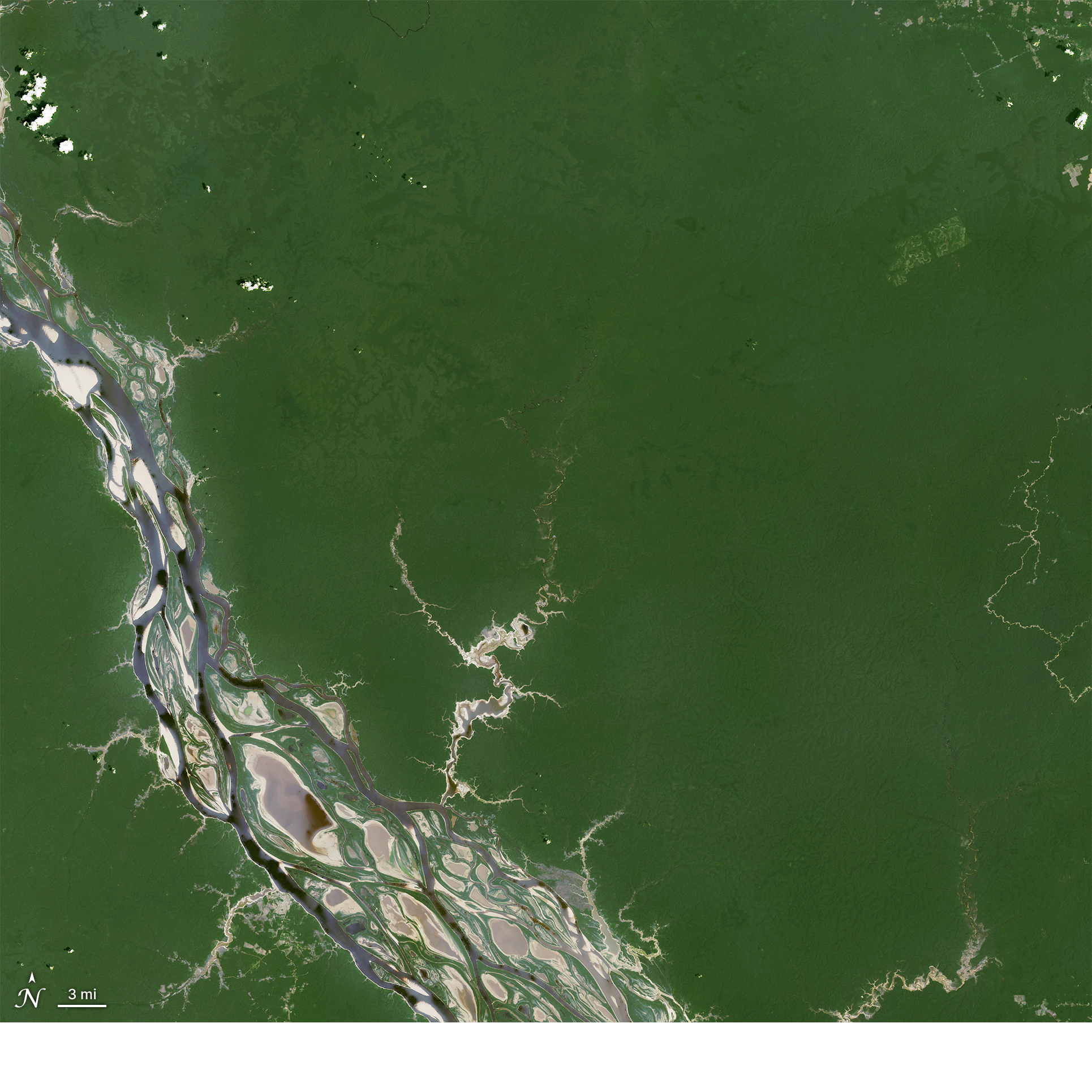 This natural-color HLS L30 image from October 29, 2024 (left), shows the Brazilian Amazon rainforest. The forest is dark green, while the islands in the river are greyish brown.