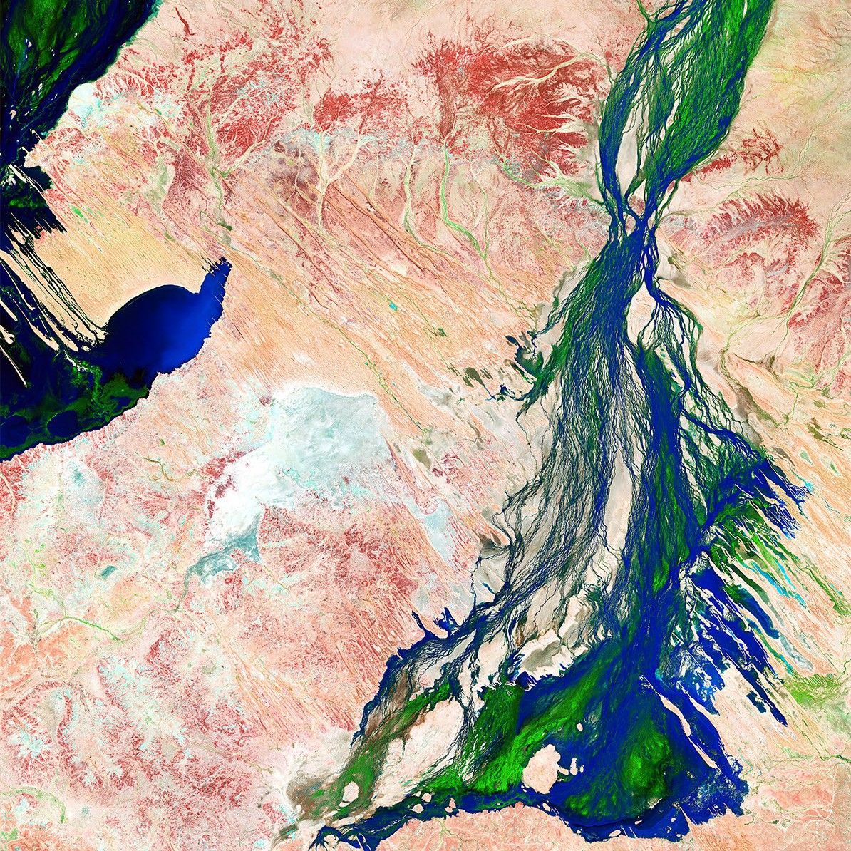 Australia's Diamantina River captured by Landsat 8's Operational Land Imager (OLI) on April 7, 2023, showing floodwaters flowing through the variable river system toward Kati Thanda–Lake Eyre following seasonal rainfall in February and March 2023.