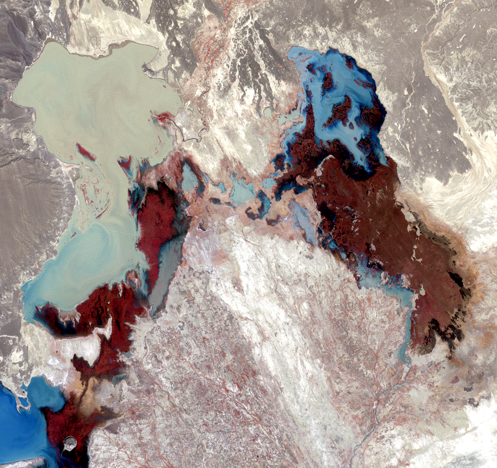 A false-color Landsat 2 satellite image of Lake Hamoun, Iran and Afghanistan (path/row 169/38,39).