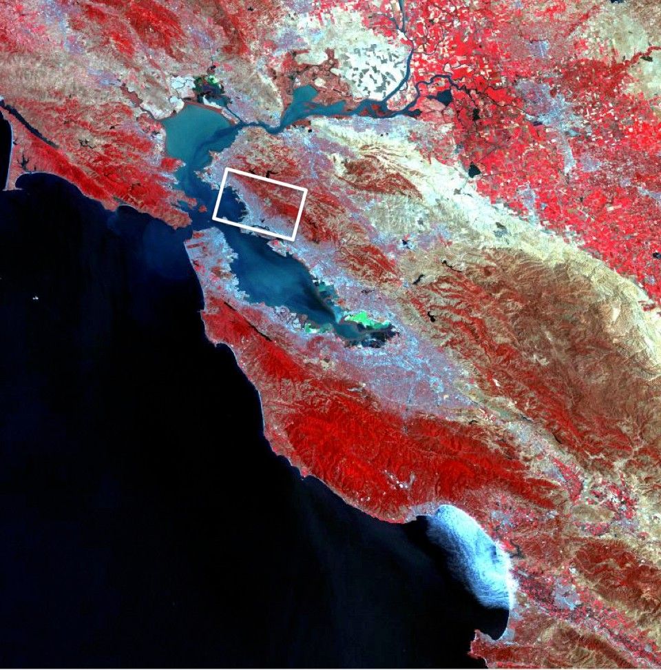 A false color Landsat 4 satellite image of San Francisco bay.