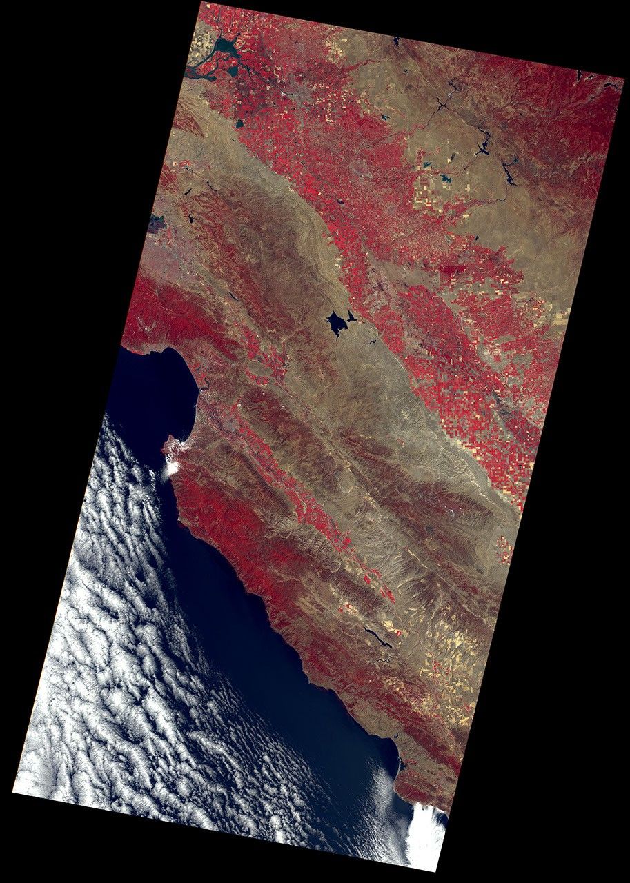 A Landsat 1 satellite image of California showing areas on the Pacific coast like Monterey Bay, Central Valley, and the Sierra Nevadas. Key: dark blue–water, white–clouds, red shades–healthy vegetation, brown shades–sparsely vegetated ground/ soils, grey–urban areas.