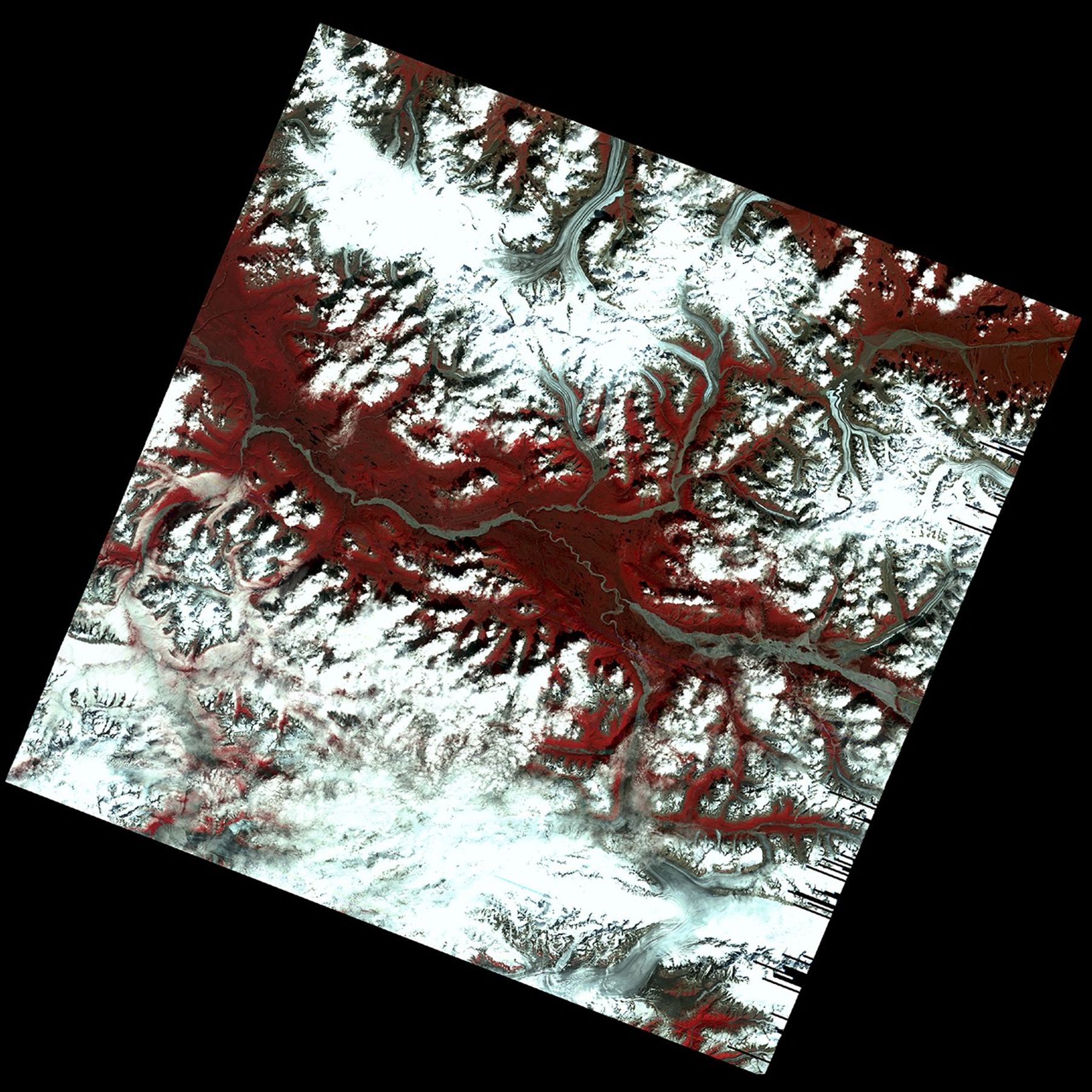 Satellite image of glaciers in Alaska show in colors of red and white