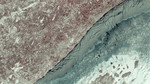 Landsat 5's first light image of Lake Superior.