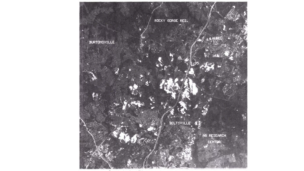 A black and white Landsat 4 TM satellite image of a contrast enhancement of study site.