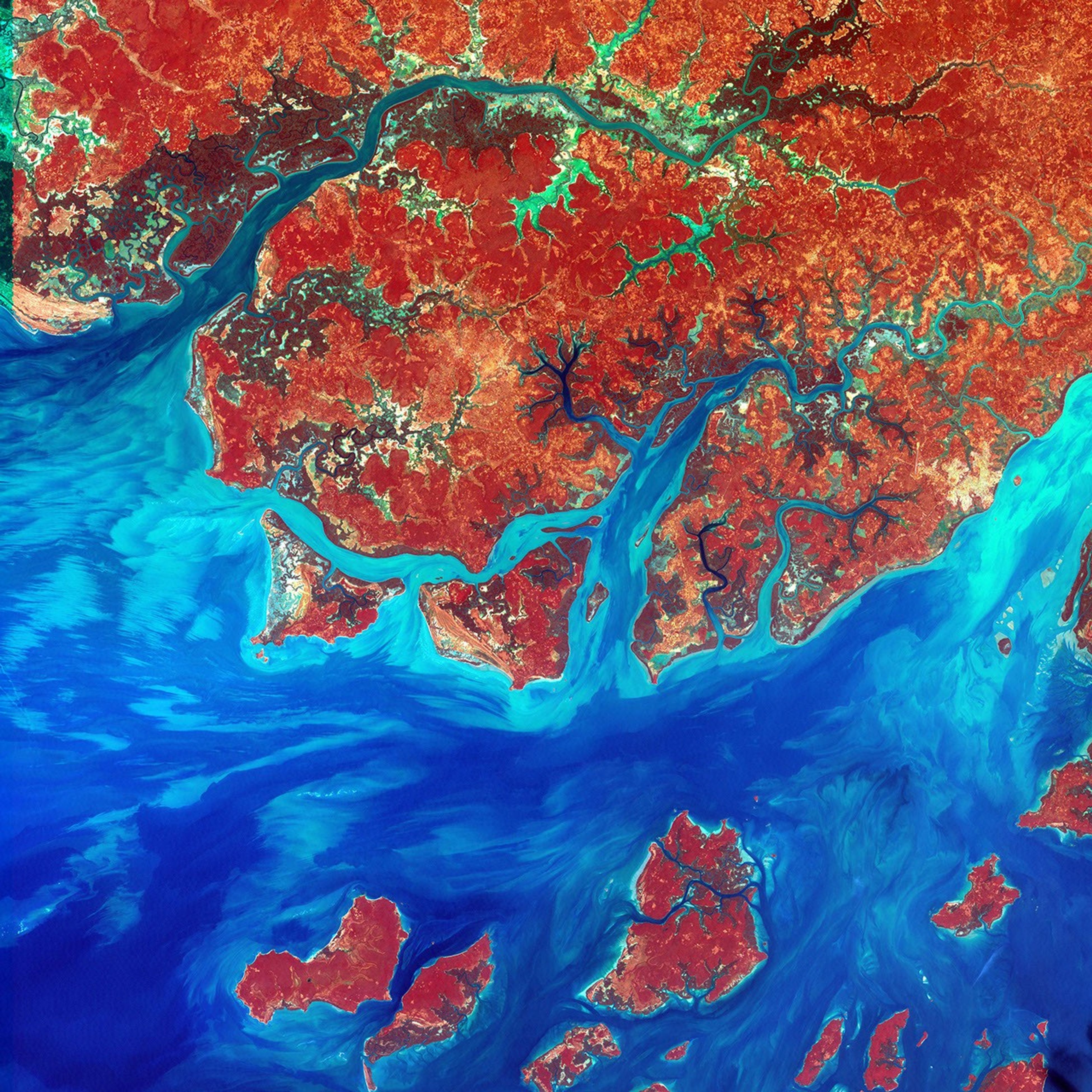 This Landsat 7 image of Guinea-Bissau, a small country in West Africa, shows the complex patterns of the country's shallow coastal waters, where silt carried by the Geba and other rivers washes out into the Atlantic Ocean. This is a false-color composite image made using infrared, red and blue wavelengths to bring out details in the silt was taken using Landsat 7's Enhanced Thematic Mapper plus (ETM+) sensor on Jan. 12, 2000.