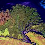 7/27/2000: The Lena River, some 2,800 miles (4,400 km) long, is one of the largest rivers in the world. The Lena Delta Reserve is the most extensive protected wilderness area in Russia. It is an important refuge and breeding grounds for many species of Siberian wildlife. The Lena Delta can be found on Landsat 7 WRS Path 131 Row 8/9, center: 72.21, 126.15.