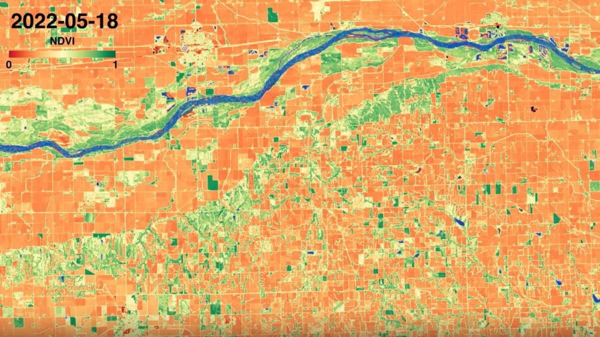 HLS NDVI near Columbus Nebraska on May 18 2022