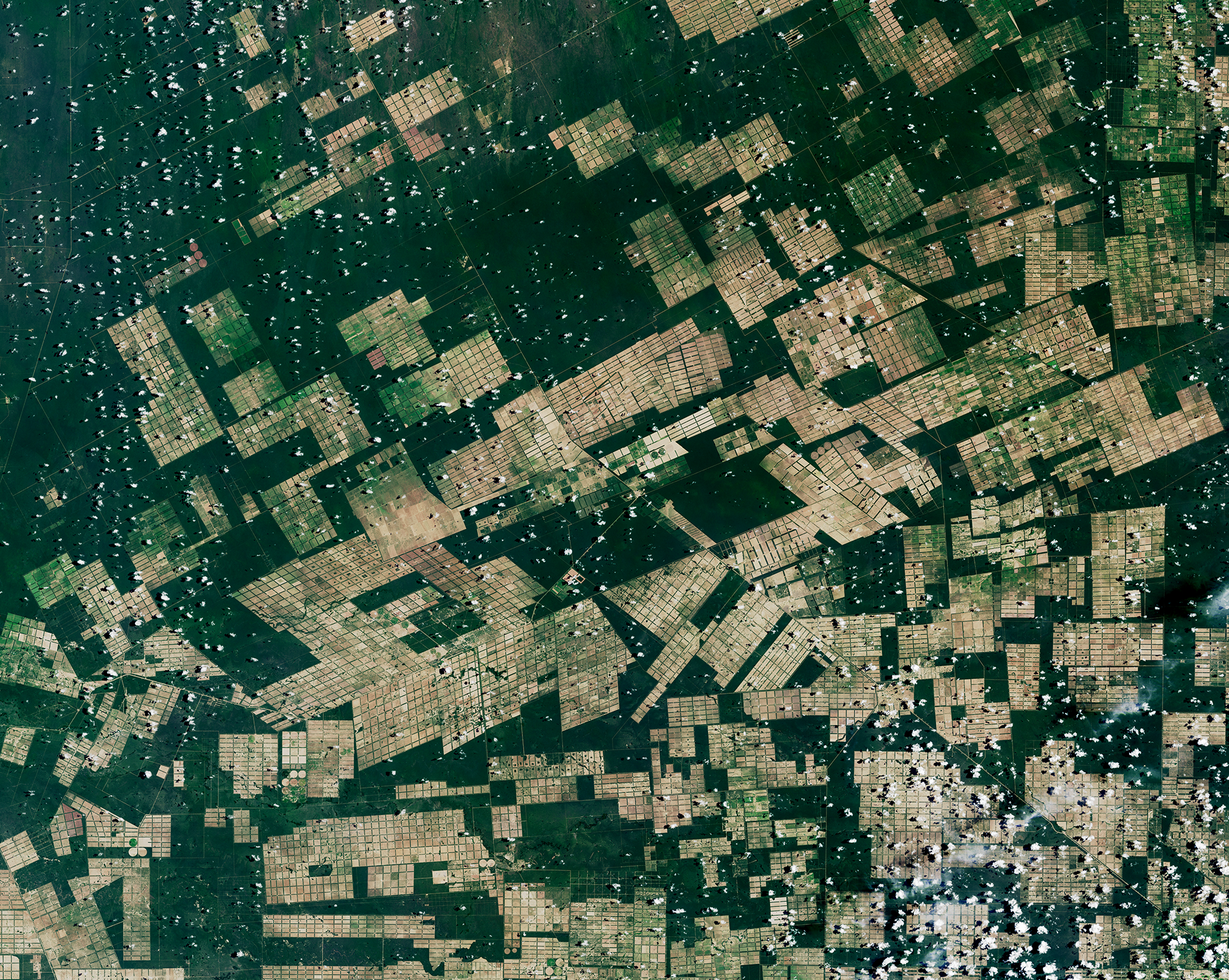 A natural-color image of South America's Gran Chaco Region acquired by Landsat 8 on Feb 12, 2025.