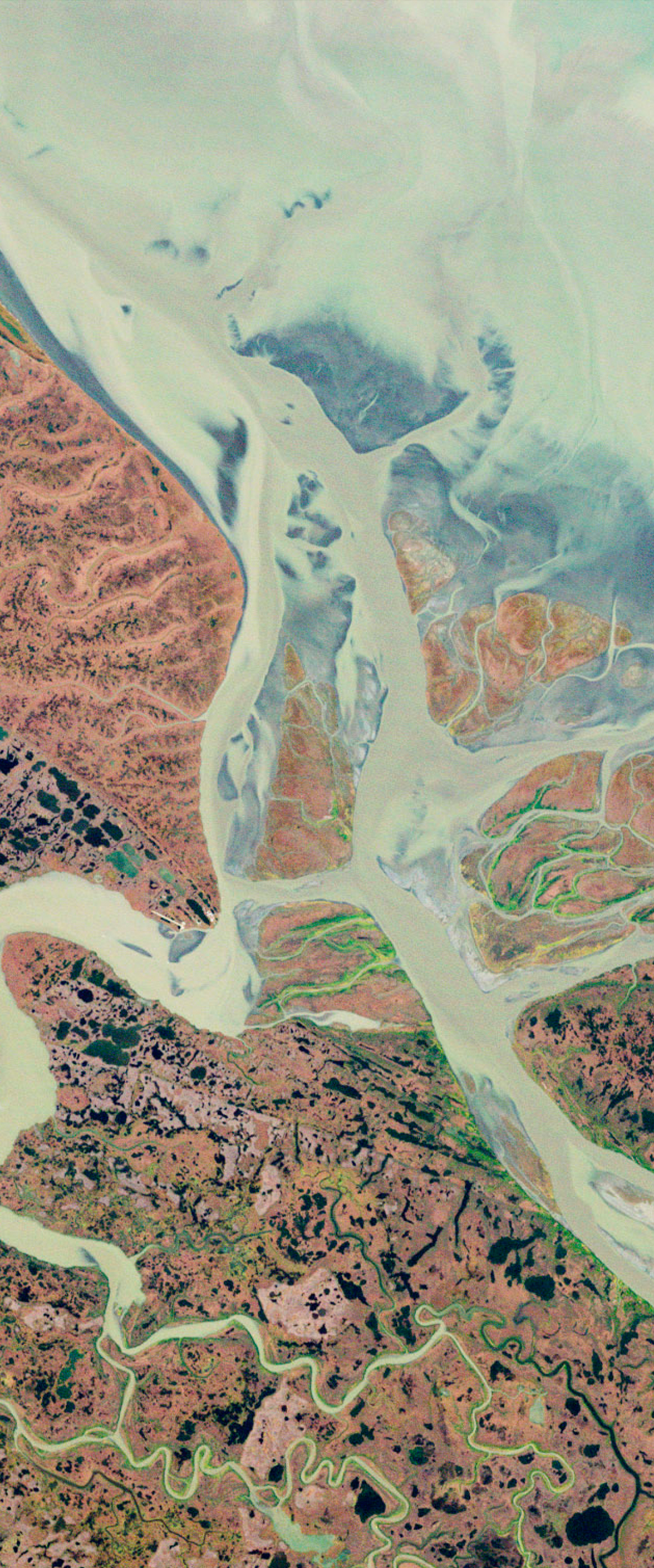 Landsat satellite image of the Yukon River delta flowing into the Bering Sea. The river forms a capital letter A.