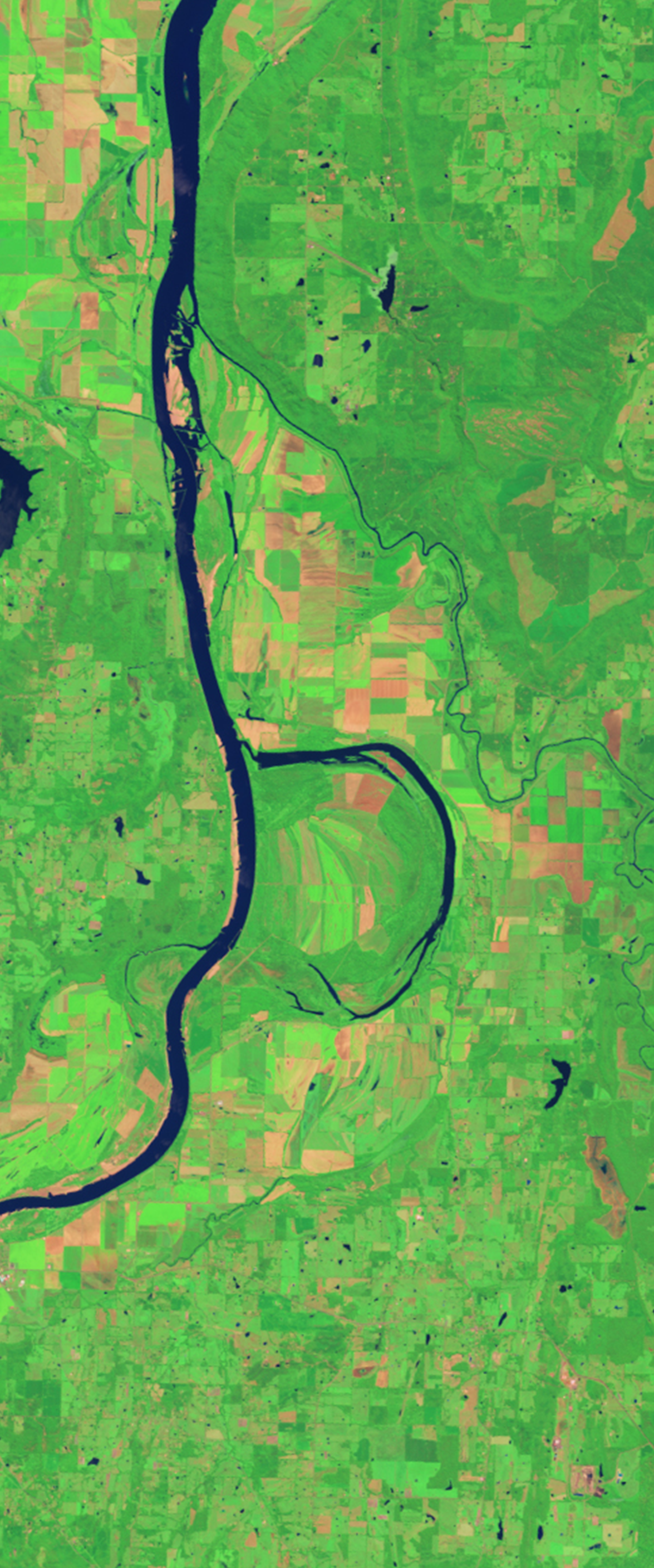 Landsat satellite image of a river shaped like the lower case letter B. The Holla Bend Wildlife Refuge is located around here.