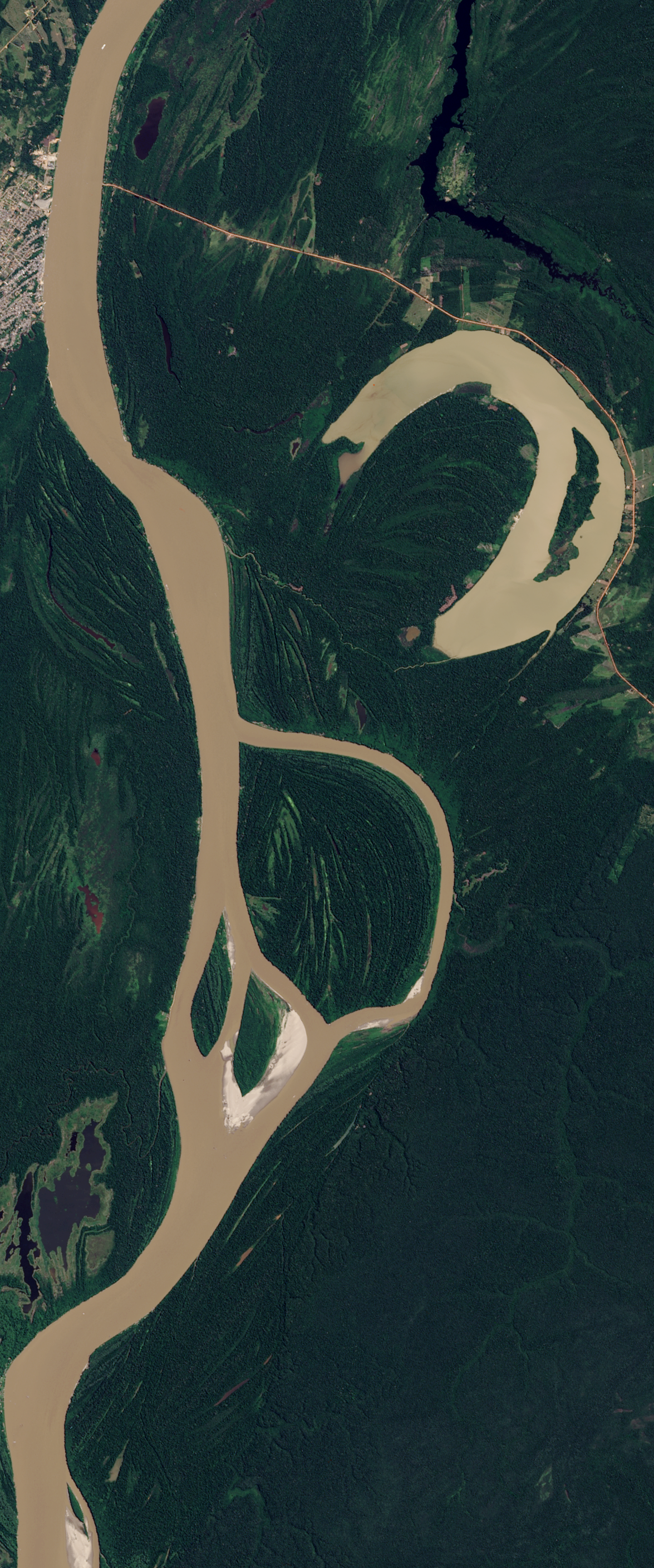 Landsat satellite image of a muddy river forming the lower case letter B. The river is surrounded by green vegetation.