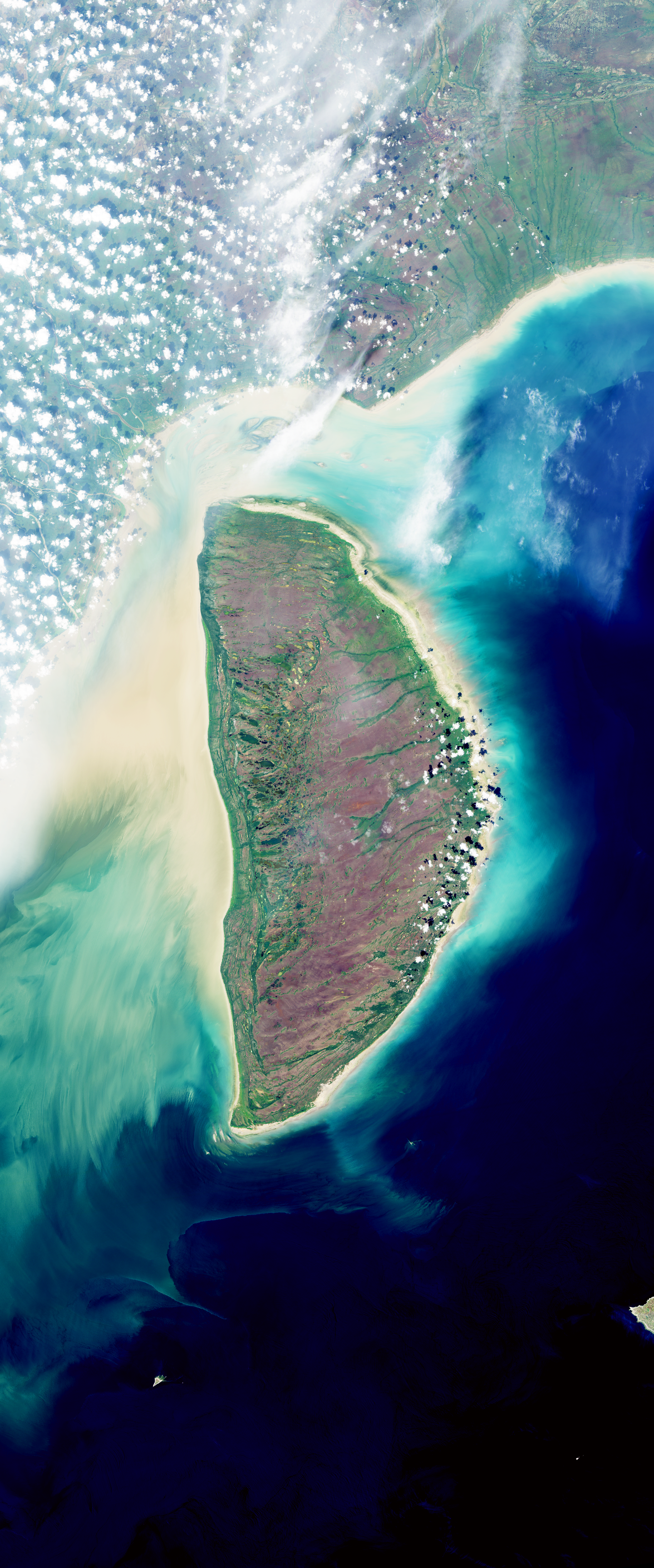 Landsat image of an island forming the capital letter D. Mudflats surround the island.