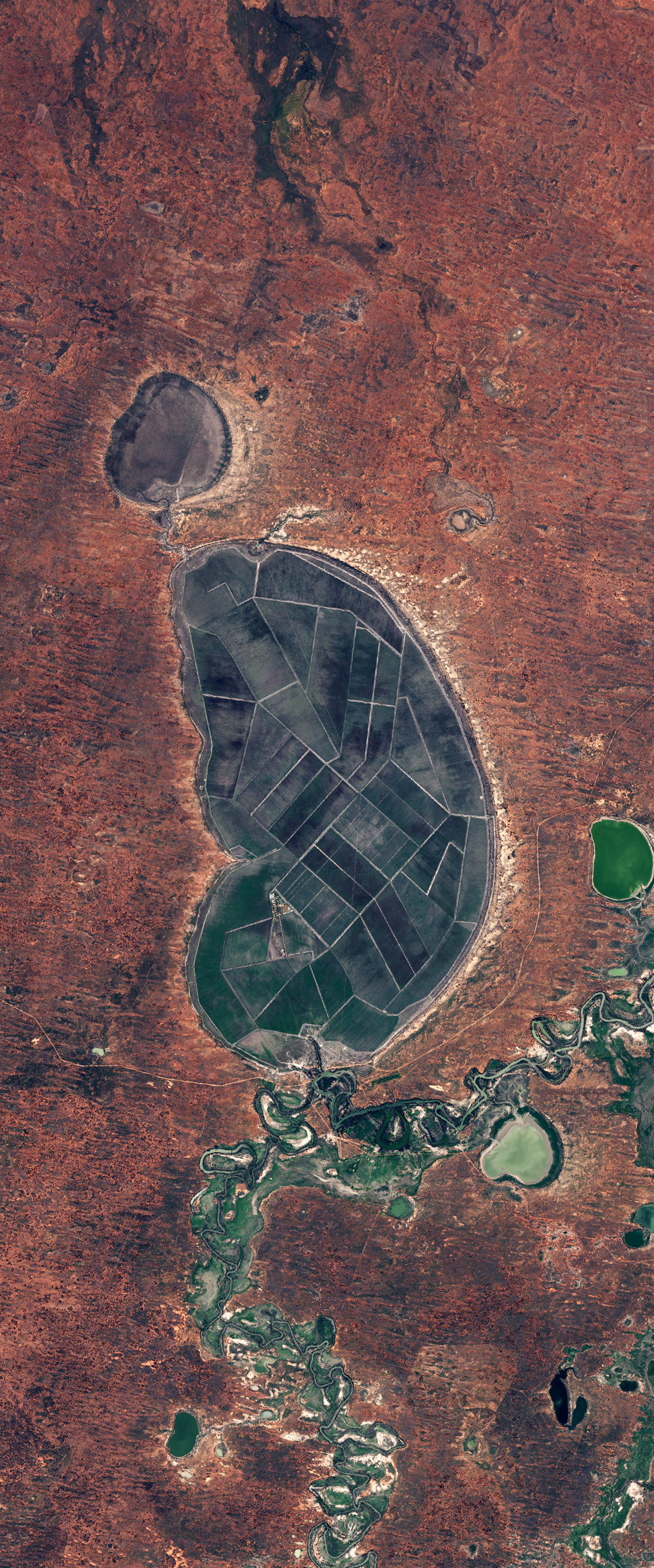 Landsat image of a lake forming the capital letter D. The lake is comprised of man-made geometric shapes for agriculture.