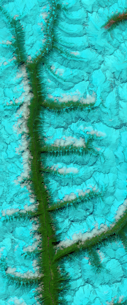 Landsat image of fjords forming the capital letter E.