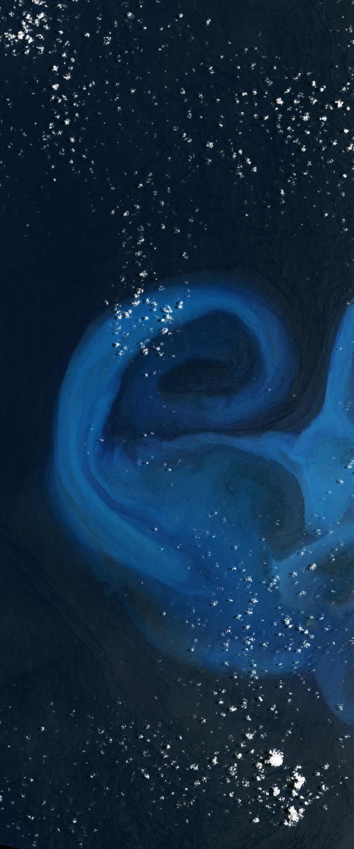 Landsat satellite image of carbonate sediment in the sea forms the lower case letter E.