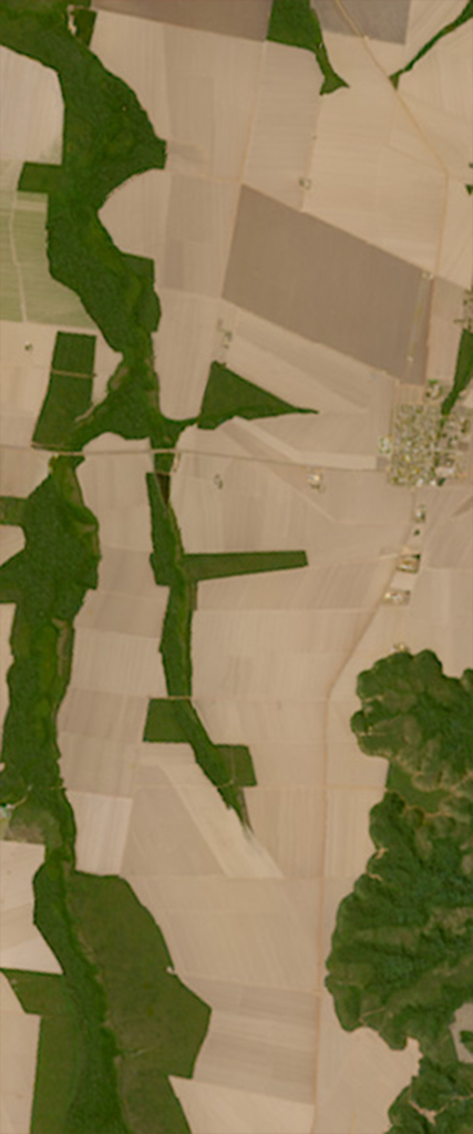 Geometric shaped vegetation on the land forms the capital letter F in this Landsat satellite image.