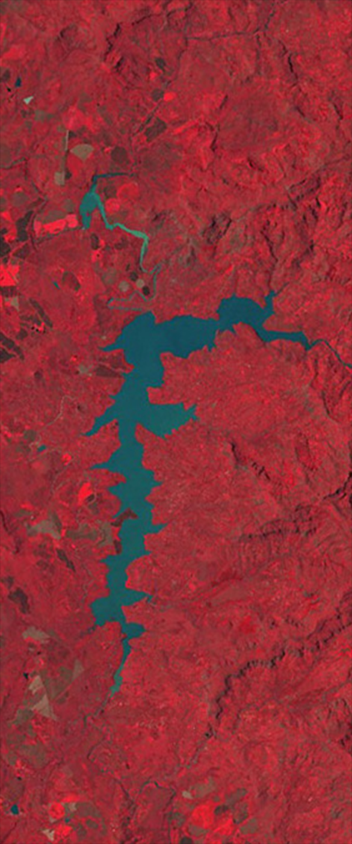 Landsat satellite image of a long thin lake forms the lower case letter F.