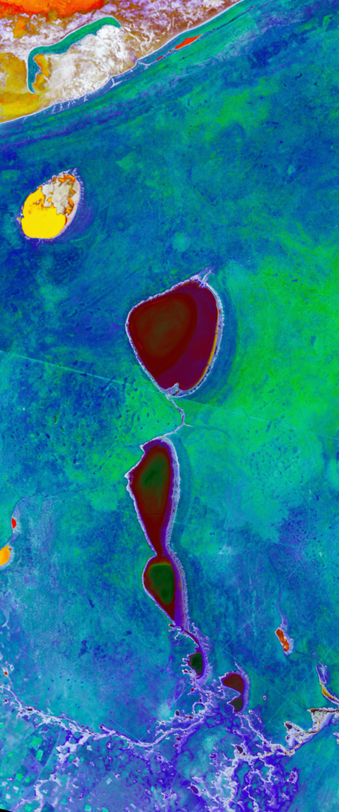 Landsat satellite image of salt pans where water has dried up in the Etosha National Park.The formations form the lower case letter I.