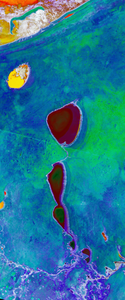 Landsat satellite image of salt pans where water has dried up in the Etosha National Park.The formations form the lower case letter I.