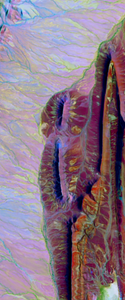 Landsat satellite image of land folds in the desert in Morocco form the lower case letter I.