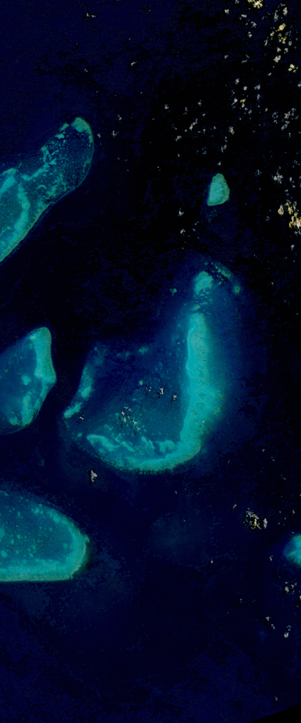 Landsat satellite image of an underwater barrier reef forms the lower case letter J.