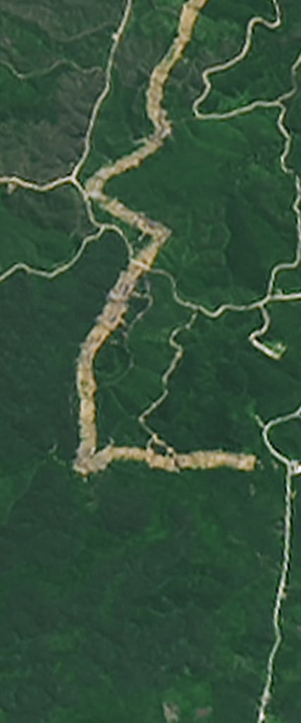 Landsat satellite image of exposed soil in the forest forms the capital letter L.