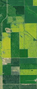 Rectangular crops form the capital letter L in this Landsat satellite image.