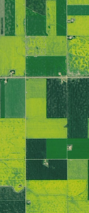 Rectangular crops form the capital letter L in this Landsat satellite image.