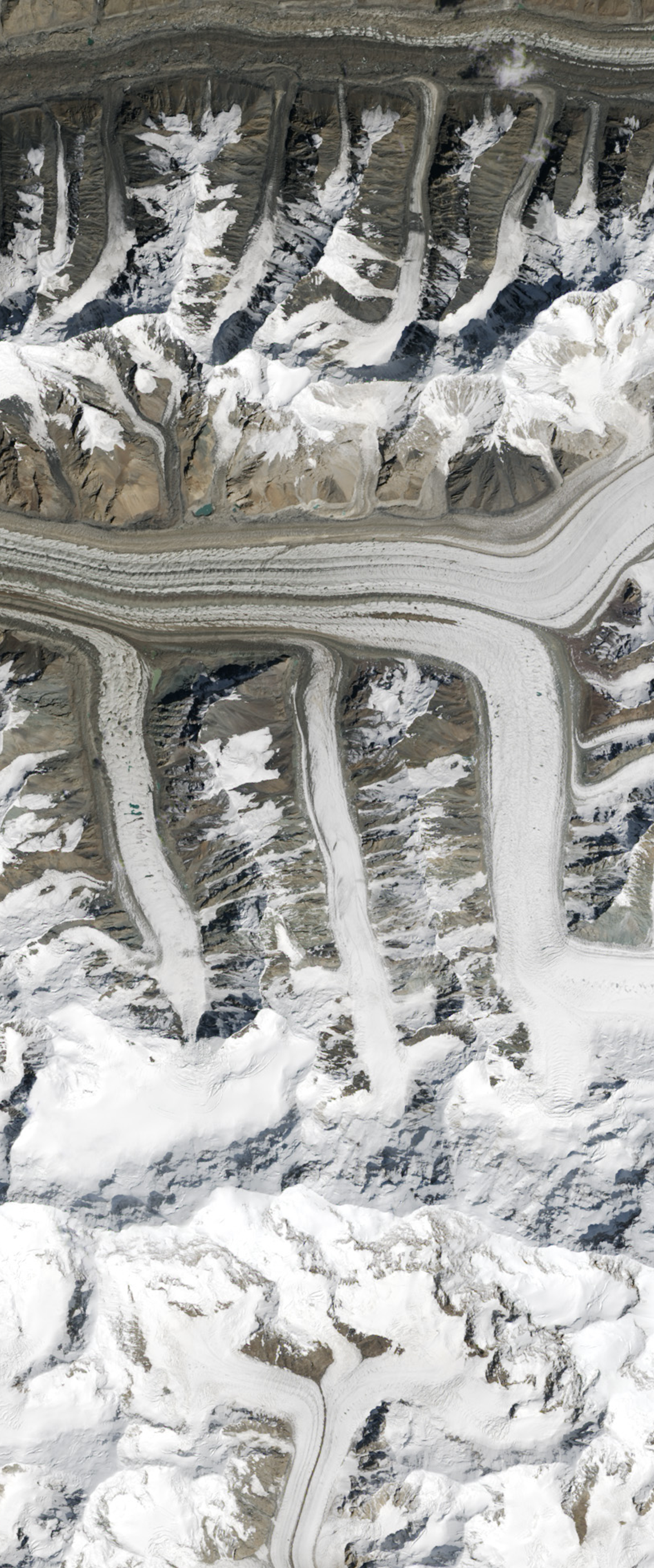 Landsat satellite image showing glacier rivers forming the lower case letter M.