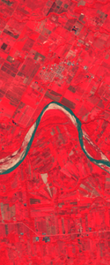 Landsat satellite image in false-color showing a curved muddy river forming the lower case letter N. Red color around the ricker represents vegetation. Green color of the river represents water.