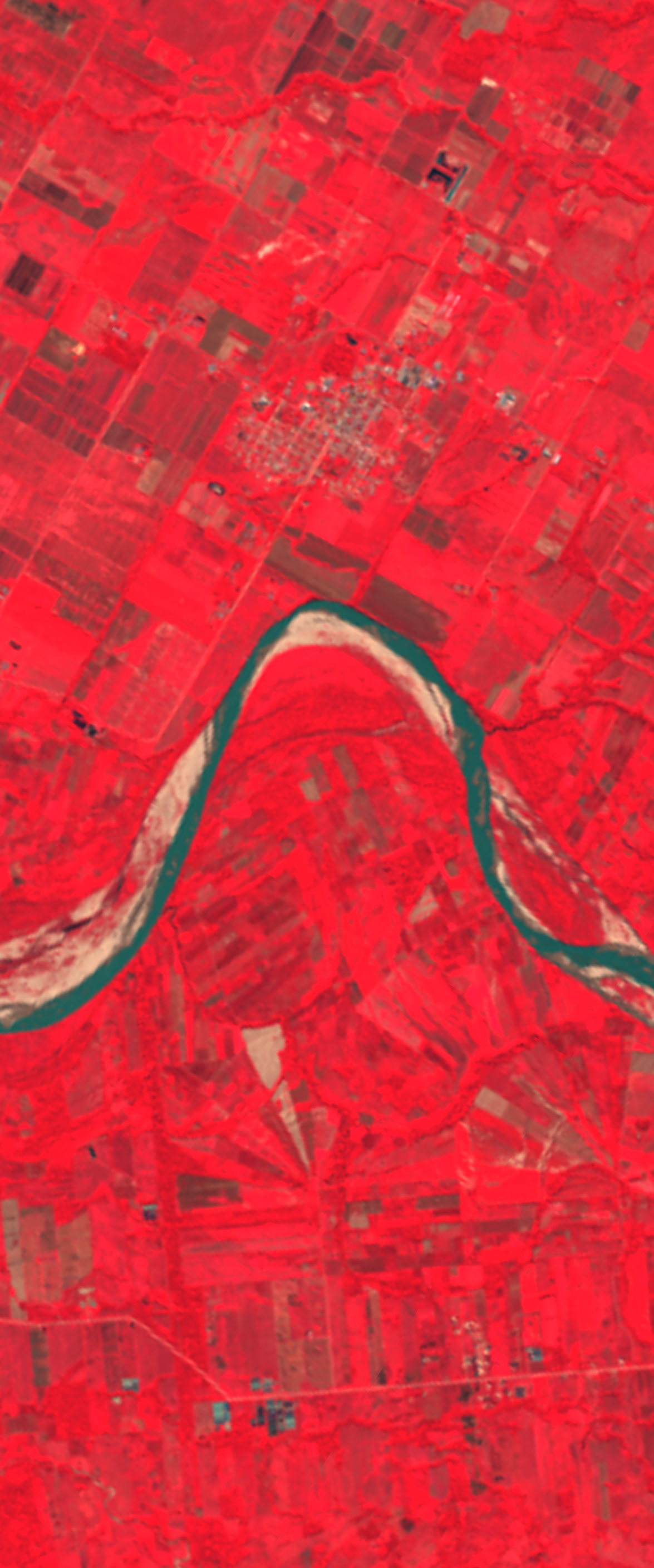 Landsat satellite image in false-color showing a curved muddy river forming the lower case letter N. Red color around the ricker represents vegetation. Green color of the river represents water.