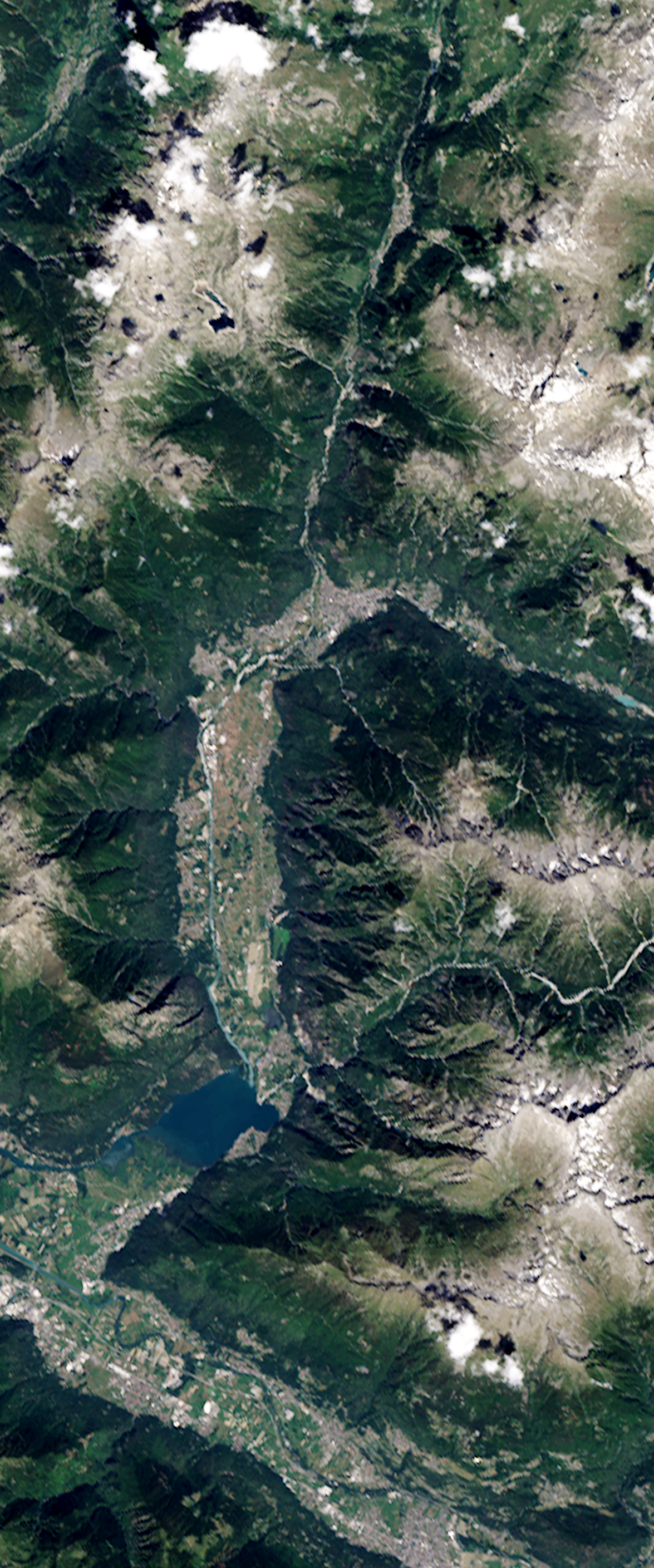 Bare land surrounded by forest forms the lower case letter R in this Landsat satellite image.