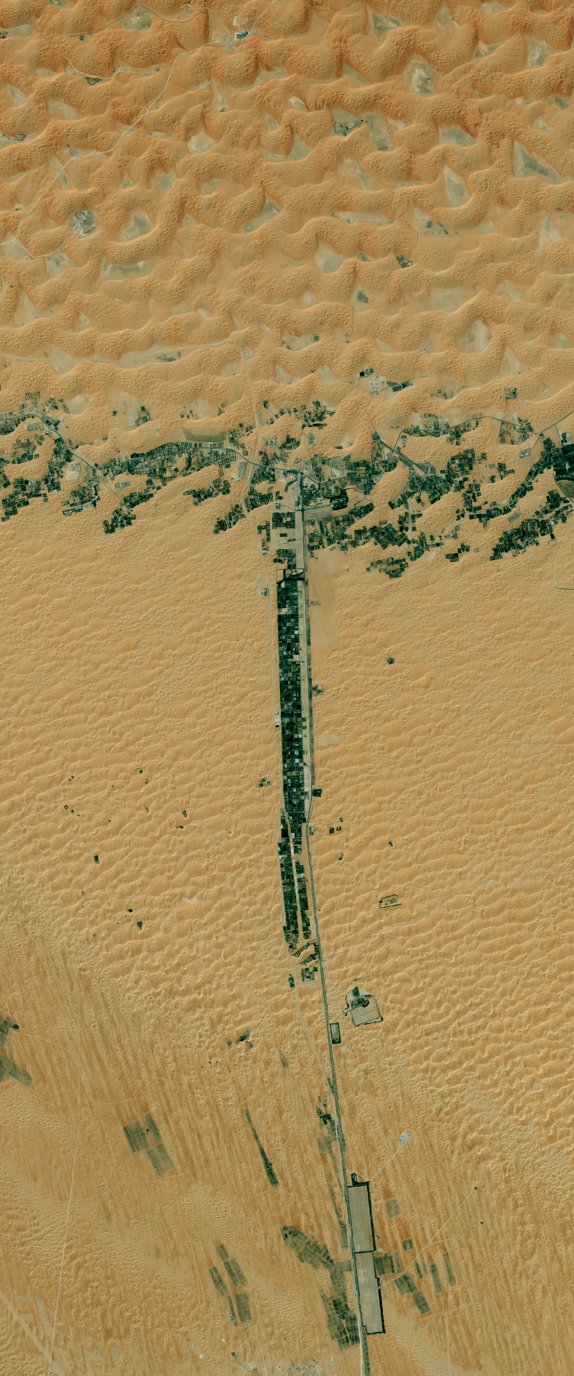 Landsat satellite image showing vegetation planted along a highway in the desert forms the upper case letter T.