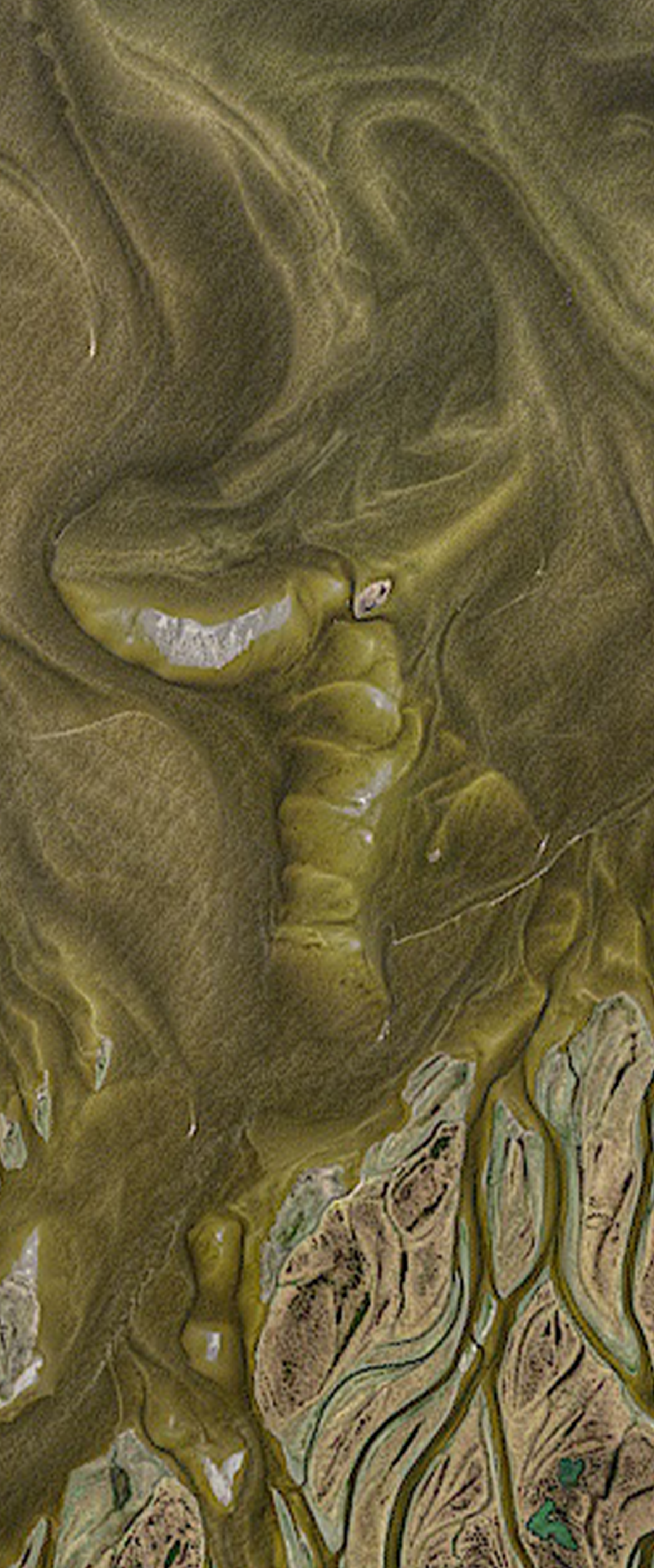 Landsat satellite image of suspended sediment and colored dissolved organic matter in the river delta forms the upper case letter T.