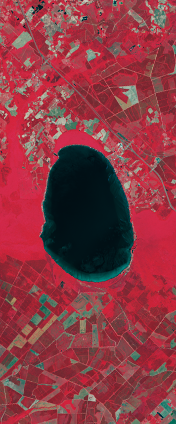 False-color Landsat satellite image showing a lake forming the number 0.