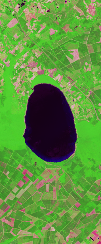 False-color Landsat satellite image showing a lake forming the number 0.