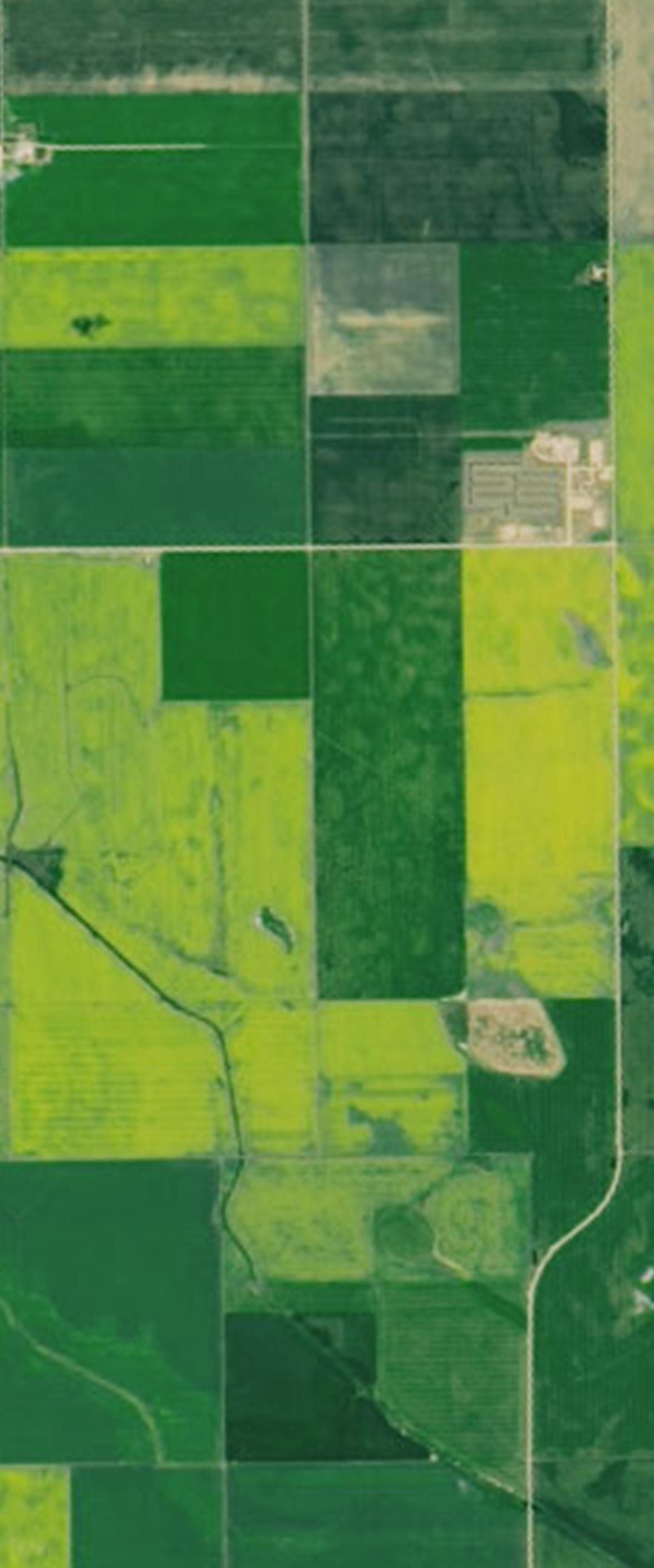 Landsat satellite image showing rectangular agricultural plots forming the number 7.