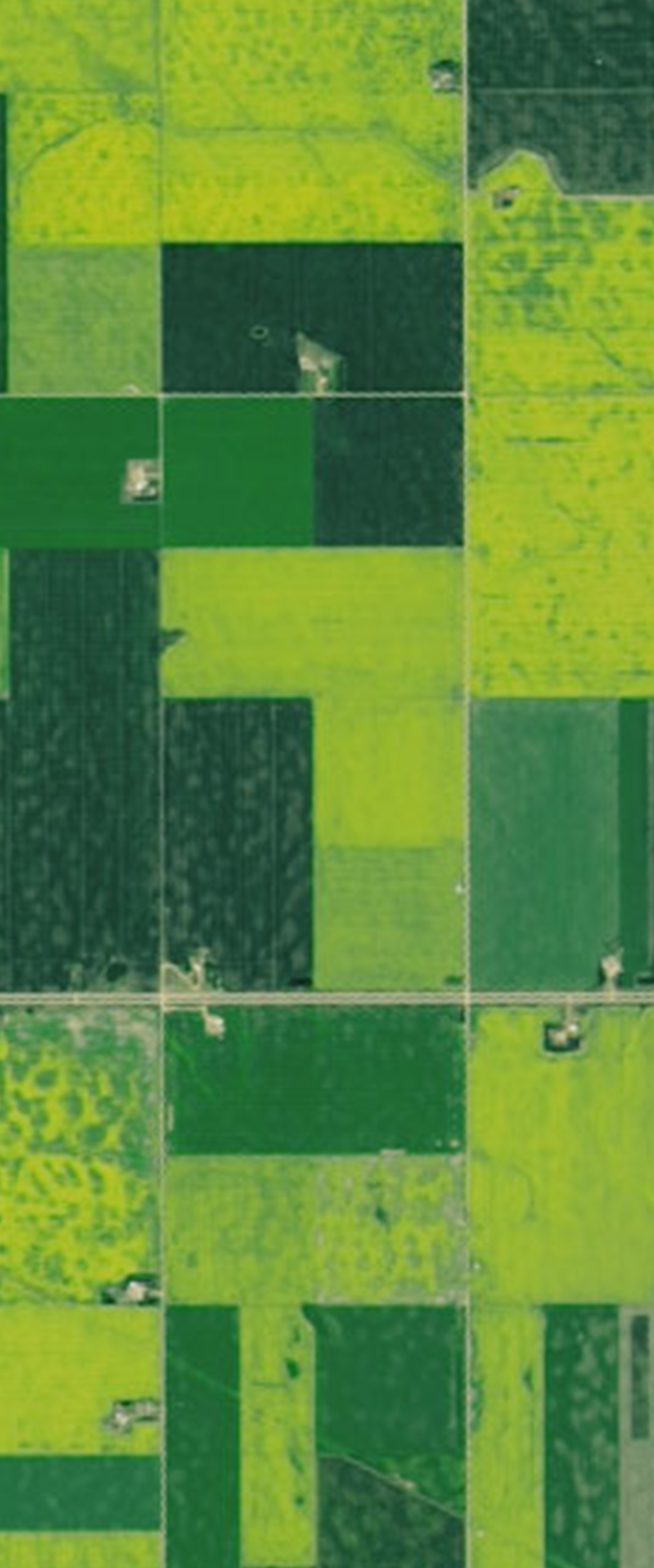 Landsat satellite image showing rectangular agricultural plots forming the number 7.