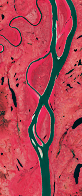 False-color Landsat satellite image showing a split river channel forming the number 8.