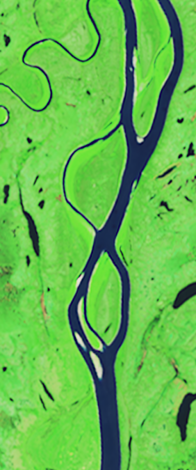 False-color Landsat satellite image showing a split river channel forming the number 8.