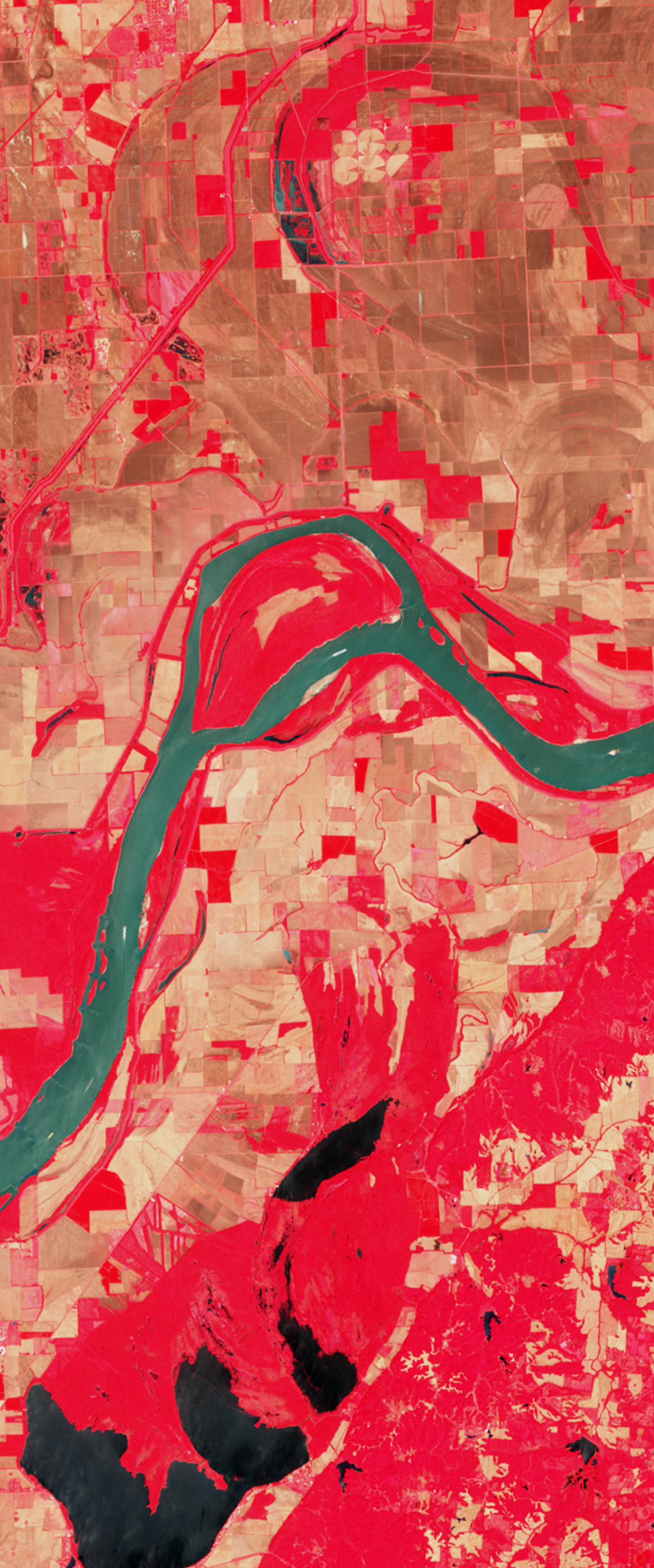 False-color Landsat satellite image showing a river in the form of a capital letter A, surrounded by green land.